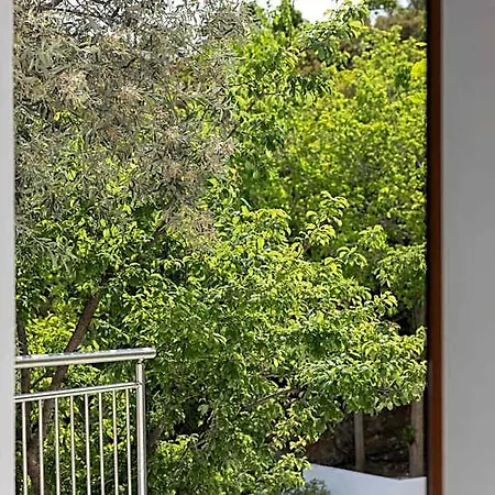 Hotel Zorbas Family House